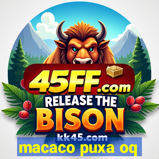 macaco puxa oq
